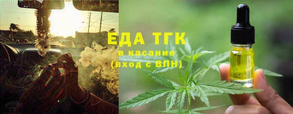 индика Балахна