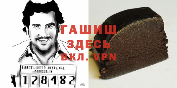 индика Балахна