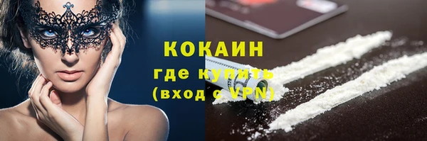 индика Балахна