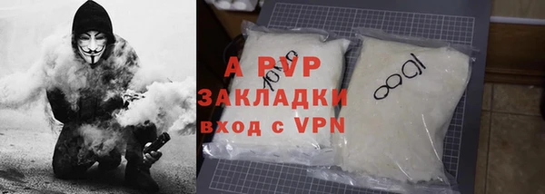 индика Балахна