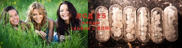 индика Балахна