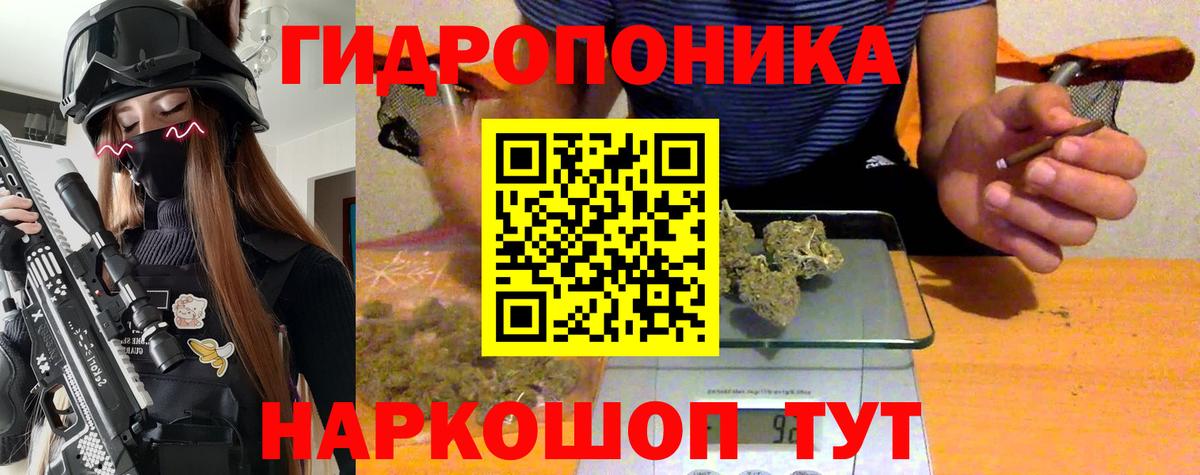 Конопля индика Кувандык